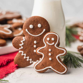 Mix Gingerbread (mélange pour pain d'épices) - 500 gr