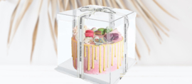 Boîtes à gâteau transparantes