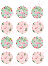 cupcakeprint flamingo 5