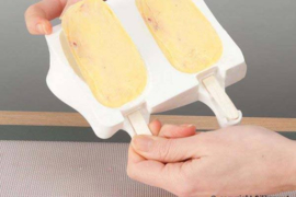 Ice Cream classic mould silikomart