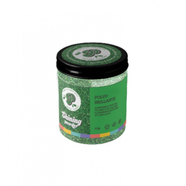 Pastrycolour Shining Powder Groen 10 gr