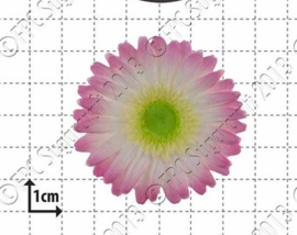 FPC Gerbera