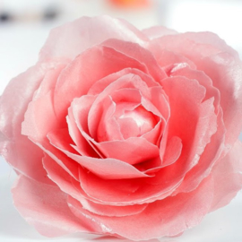 Wafer paper/ouwel paper A4 - 20 pages