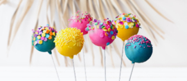 Lollipop sticks