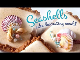 Seashells by Katy Sue
