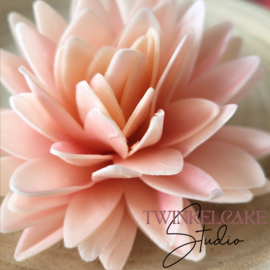 Aster 3D Salmon Large 12 cm (wafer paper)