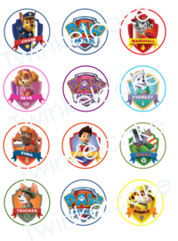 cupcakeprint paw patrol personages