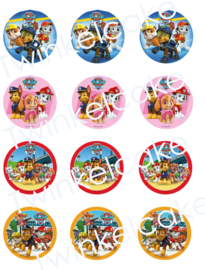 cupcakeprint paw patrol mix 2