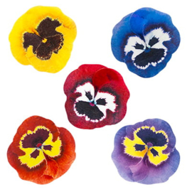 Violets 3D 5 cm - 5 pcs (wafer paper)
