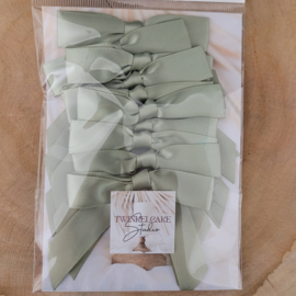 Schleifen Large Hellgrün 1.6 cm - 10 st