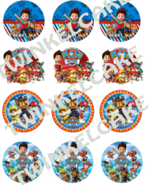 Paw Patrol Edible print cupcake2