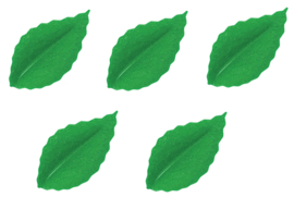 Leaves - 50 pcs (wafer paper)