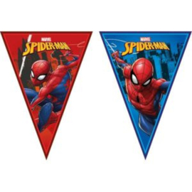 Spiderman Fahnenbanner