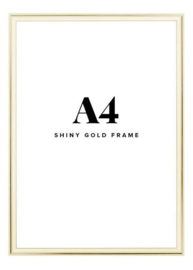 Fotolijst + foto: Aluminium gouden frame