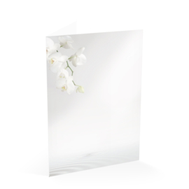 Witte Orchidee en Water