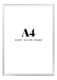 Fotolijst + foto: Aluminium zilver frame