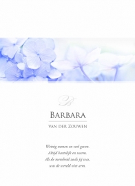 Blauwe hortensia in balk