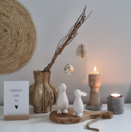 Haasjes (wit & zwart)