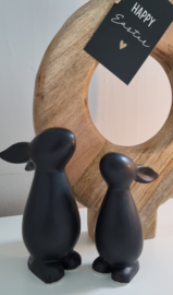 Haasjes (wit & zwart)