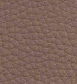 15. Taupe