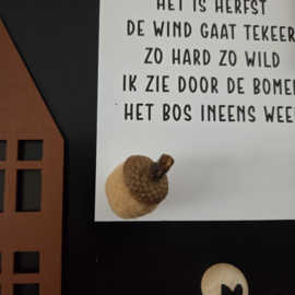Magneet vilten eikeltje