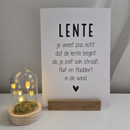 Lente (A4)