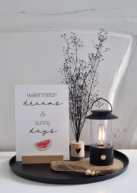 LED lantaarn (wit/zwart/olijfgroen)