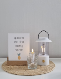 LED lantaarn (wit/zwart/olijfgroen)