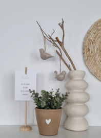 Terracotta pot