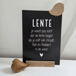 Lente (A4)