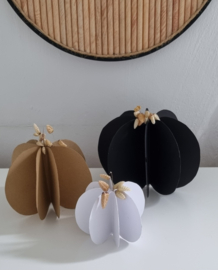 DIY pompoen set