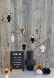 DIY pompoen set