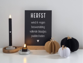 DIY pompoen set