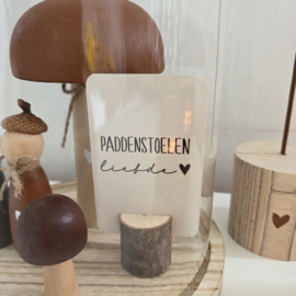 Paddenstoelen liefde (minikaartje)