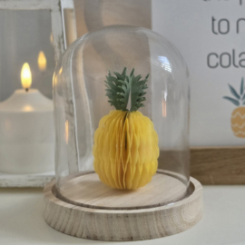Honeycomb ananas