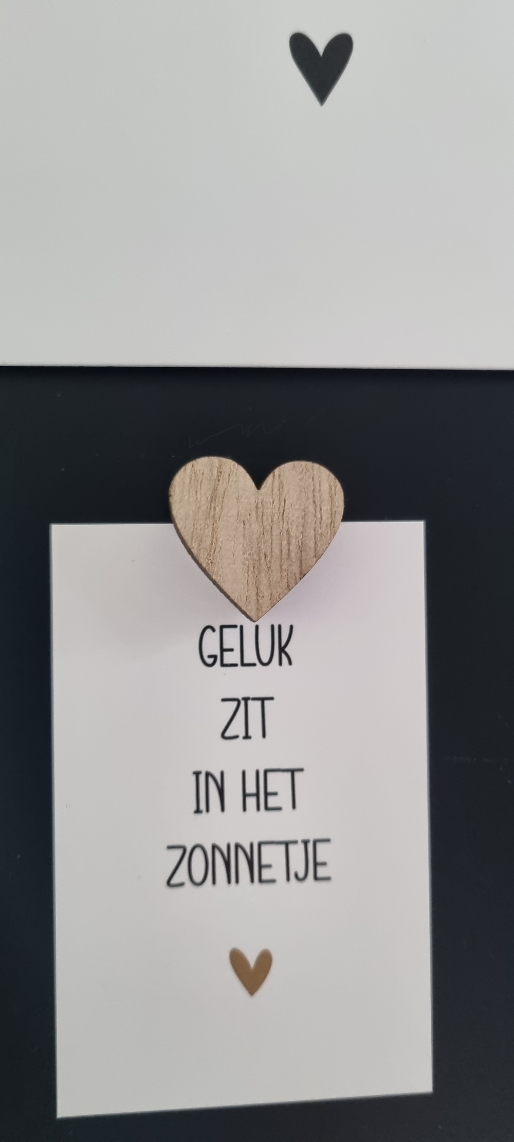 Magneetjes