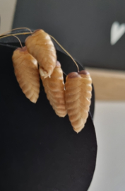 DIY pompoen set