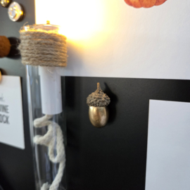 Magneet eikeltje goud