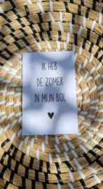 Ik heb de zomer in mijn bol