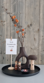 Herfst takjes