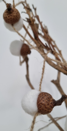 DIY slinger eikeltjes