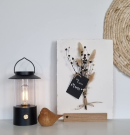 LED lantaarn (wit/zwart/olijfgroen)