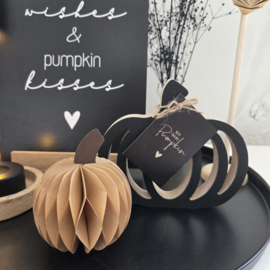 Hey there pumpkin (minikaartje)