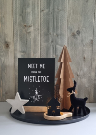 Meet me under the mistletoe (A4)