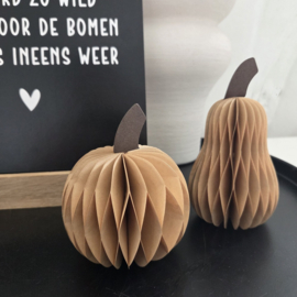 Honeycomb pompoen set = de laatste