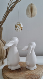 Haasjes (wit & zwart)