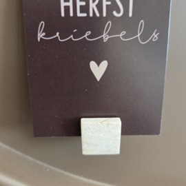 Magneet kaarthouder