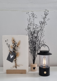LED lantaarn (wit/zwart/olijfgroen)