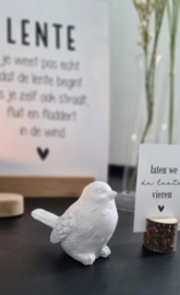 Witte vogel
