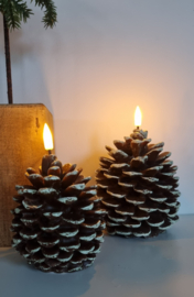 LED dennenappels